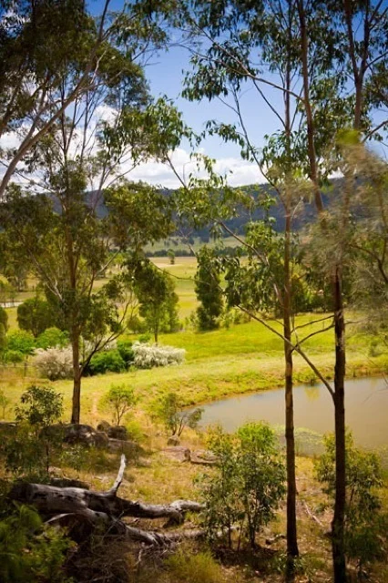 Corymbia — house, interiors and landscape