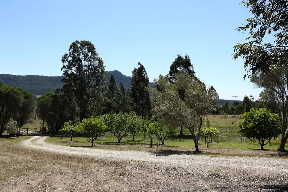 Corymbia — house, interiors and landscape