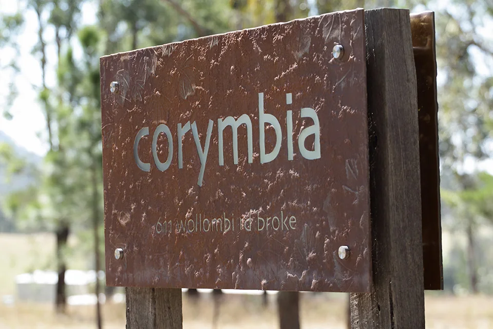 Corymbia — house, interiors and landscape