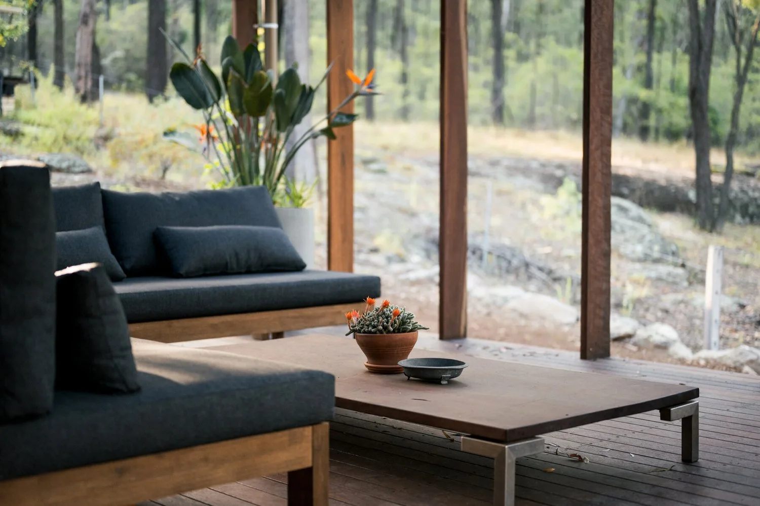 Corymbia — house, interiors and landscape
